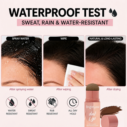 Touch & Go Hair Concealer