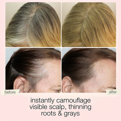 Touch & Go Hair Concealer